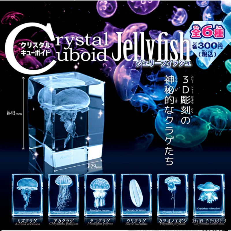 Fish Toys For Aquarium - Japan Gashapon Jellyfish 3D Crystal Cuboid