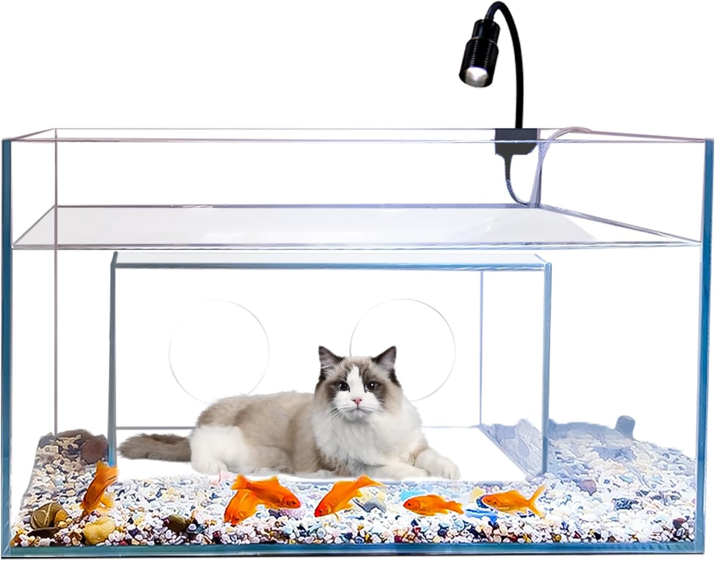 Cat house and apartment toy fi - Fish Toys For Aquarium 评论和价格