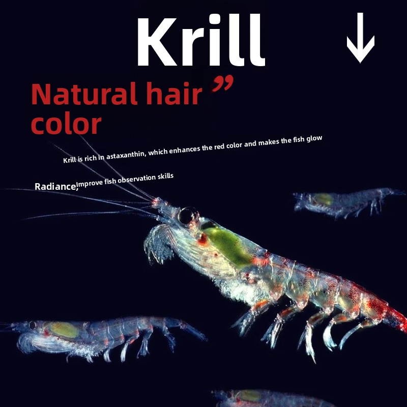 Huiqiancai Micro Pellets Fish  - Tetra Fish In Aquarium 评论和价格