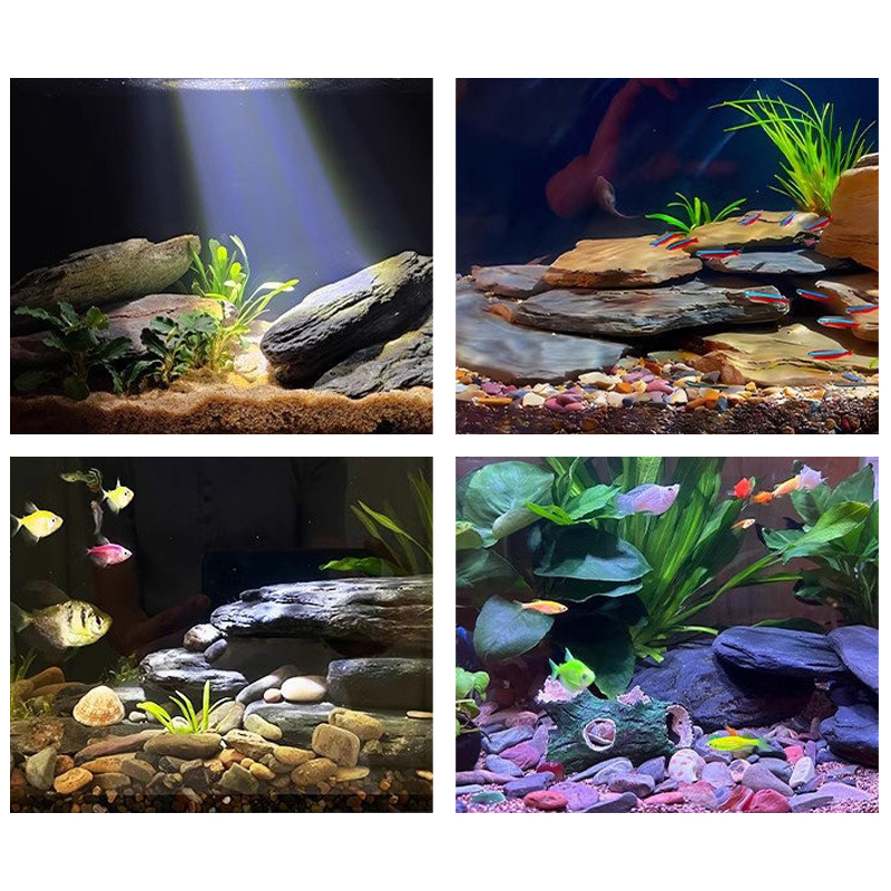 500/1000g Fish Tank Landscape  - Aquarium Fish Types 评论和价格