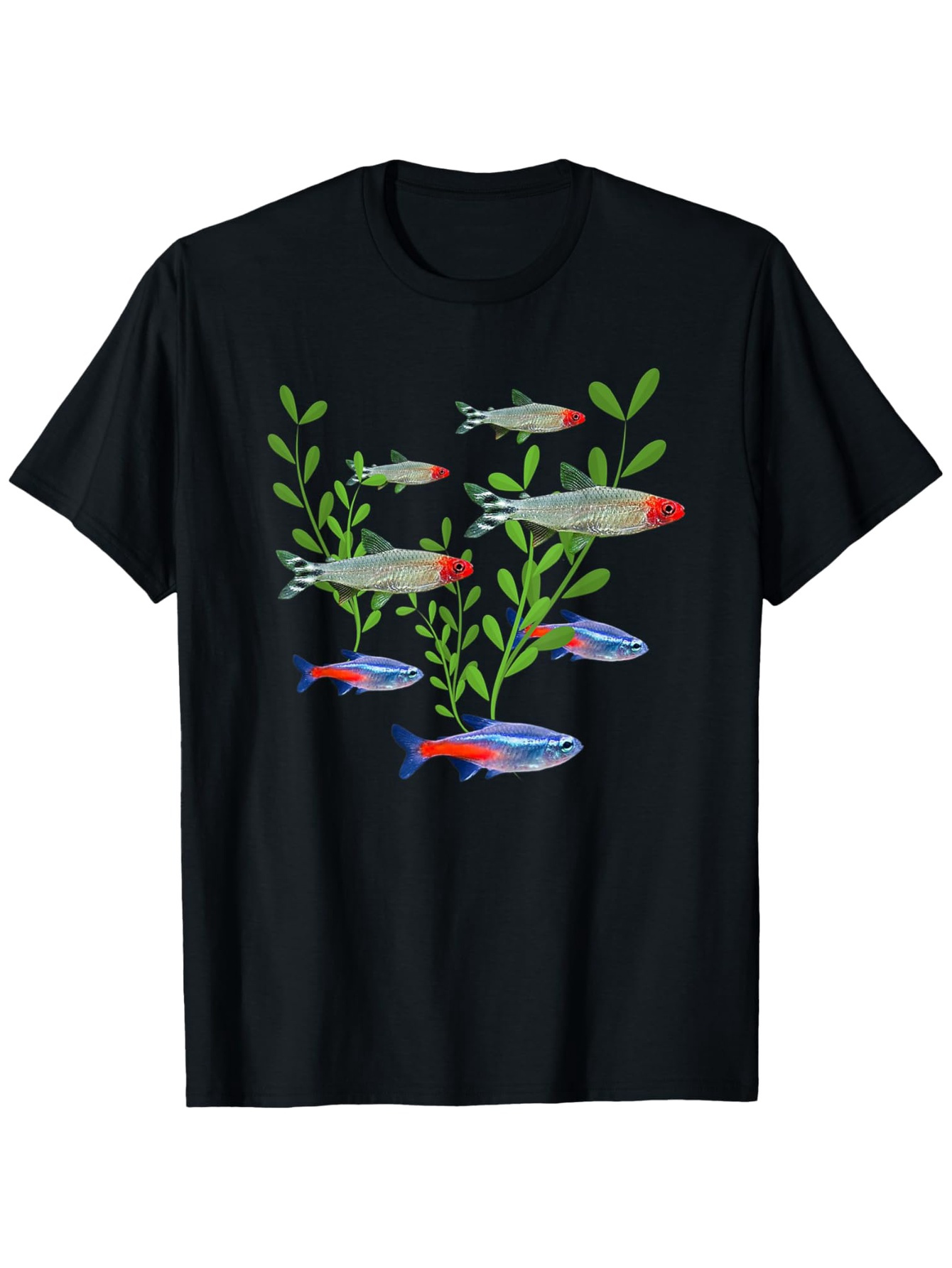 Men's Neon & Rummy Nose Tetras - Tetra Fish In Aquarium 评论和价格