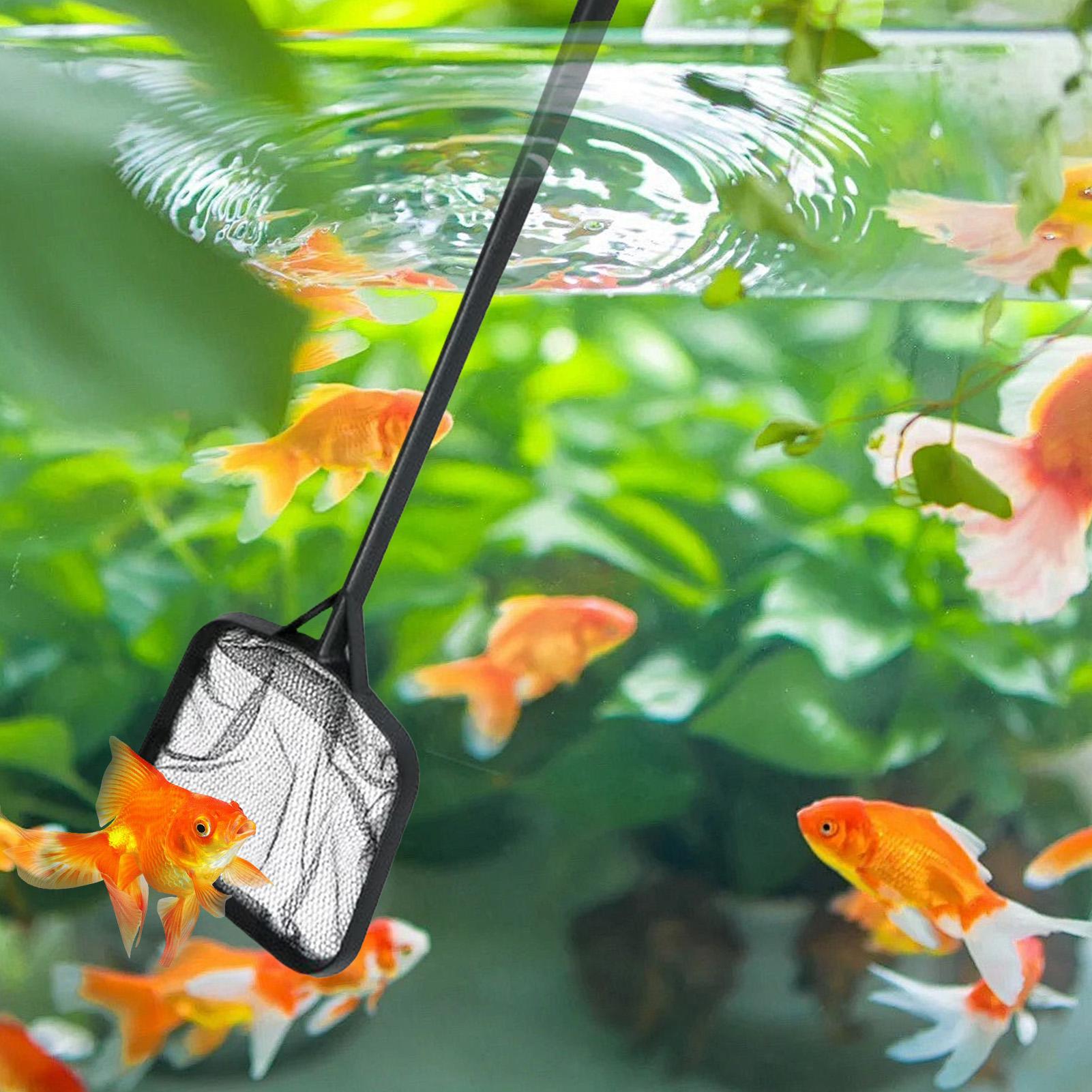 Pool Nets for Cleaning Portabl - Aquarium Fish Accessories 评论和价格