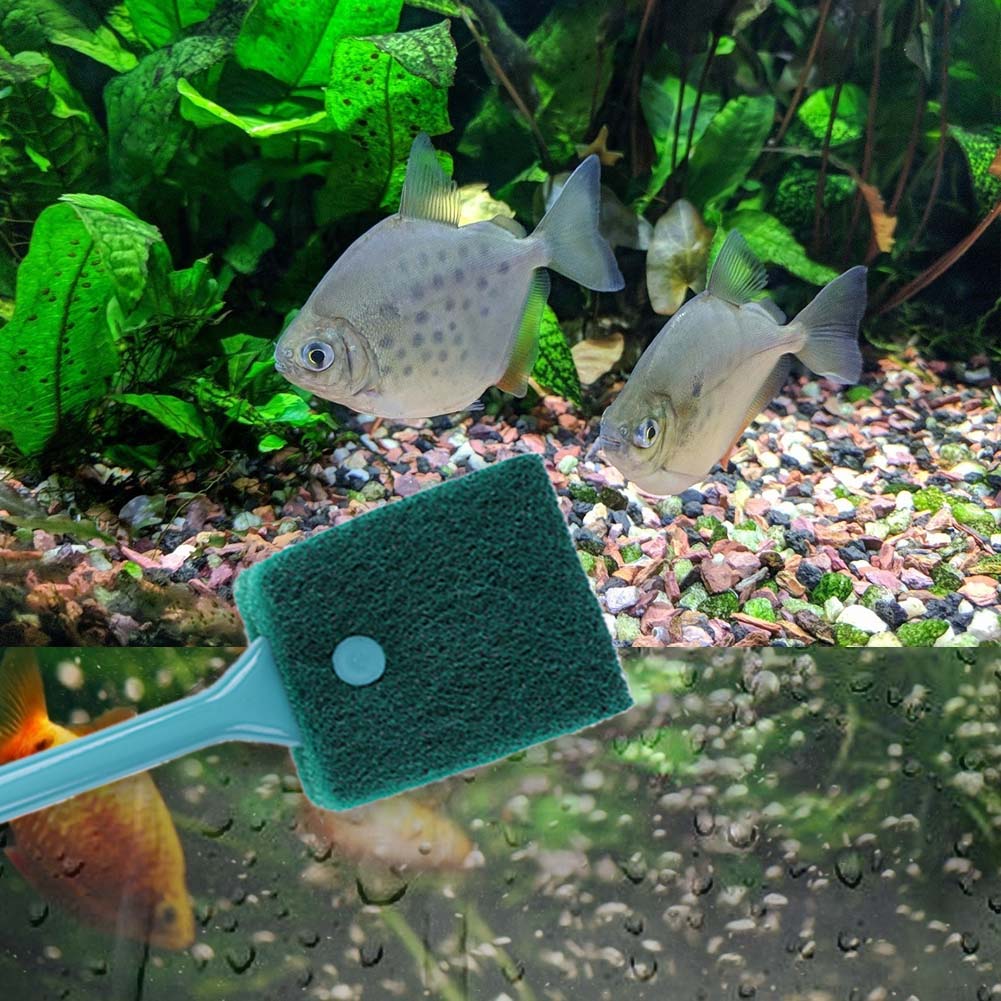 Double-sided Fish Tank Sponge  - Aquarium Fish Accessories 评论和价格