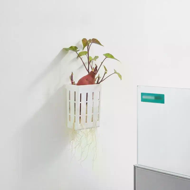 1Pcs Hydroponic Support Basket - Aquarium Fish Accessories 评论和价格