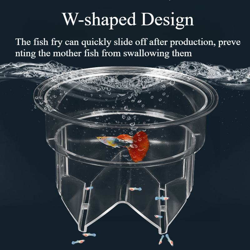 Floating Fish Breeding Isolati - Aquarium Fish Accessories 评论和价格