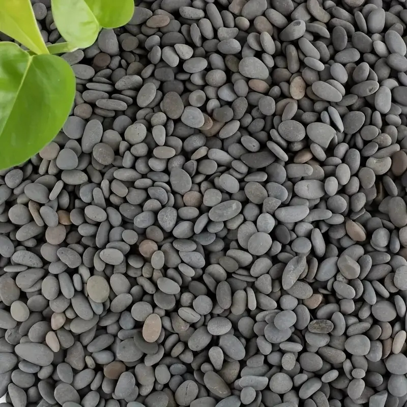 20Pcs Natural River Rocks Smoo - Aquarium Fish Types 评论和价格