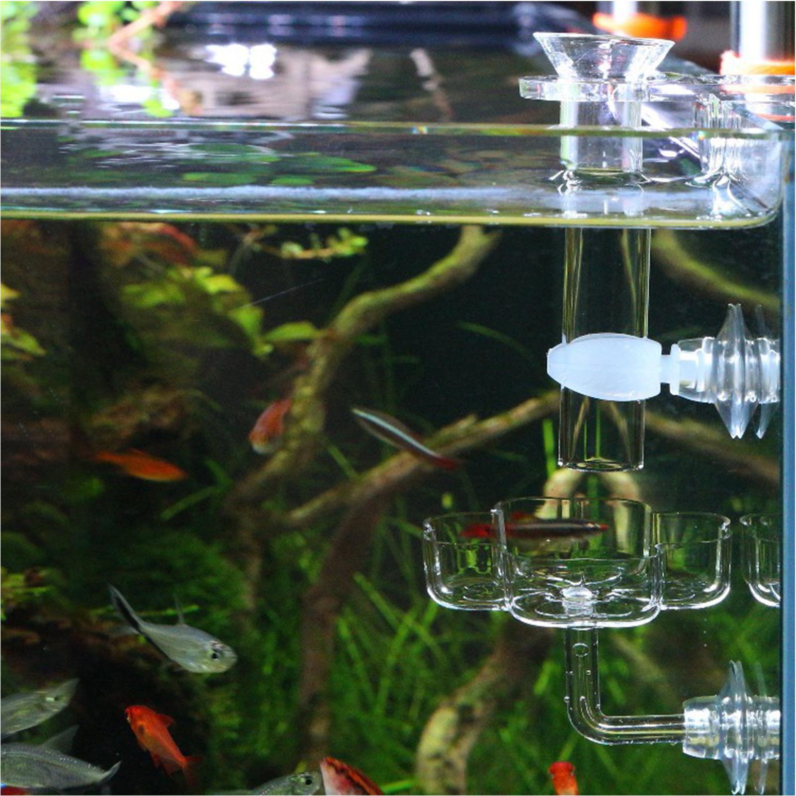Aquarium Feeder Suction Cup Fl - Tetra Fish In Aquarium 评论和价格