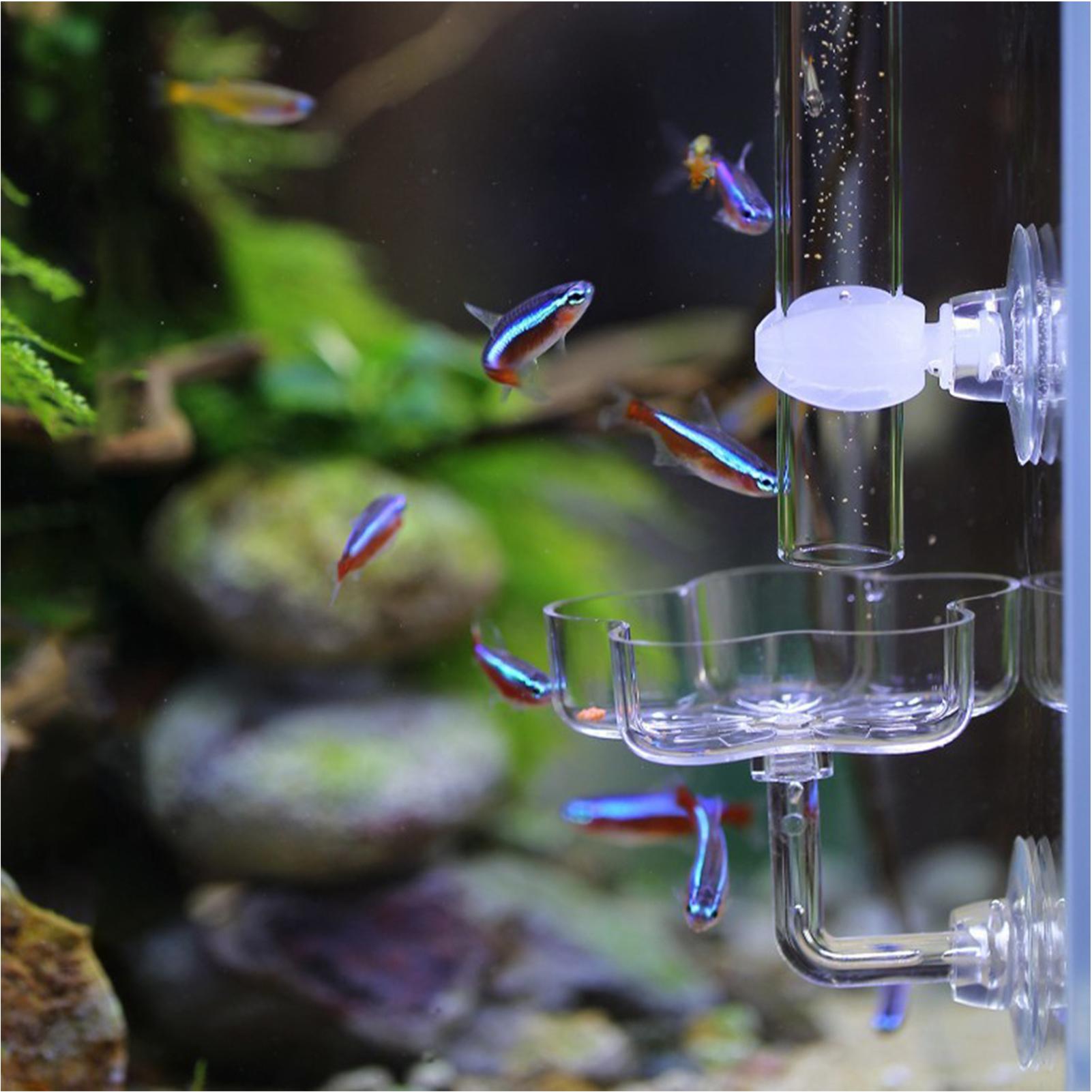 Aquarium Feeder Suction Cup Fl - Tetra Fish In Aquarium 评论和价格