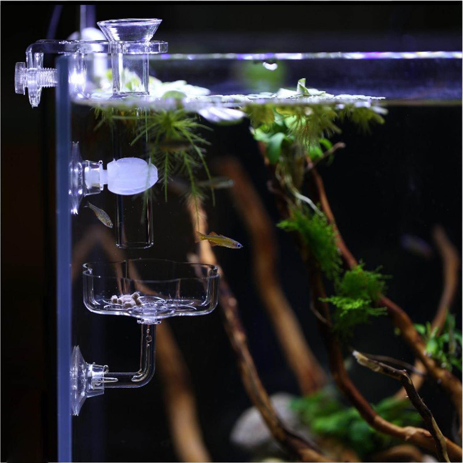 Aquarium Feeder Suction Cup Fl - Tetra Fish In Aquarium 评论和价格