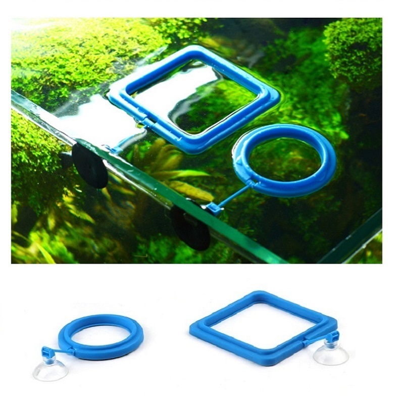 Fish Feeding Ring Feeder Fishi - Tetra Fish In Aquarium 评论和价格