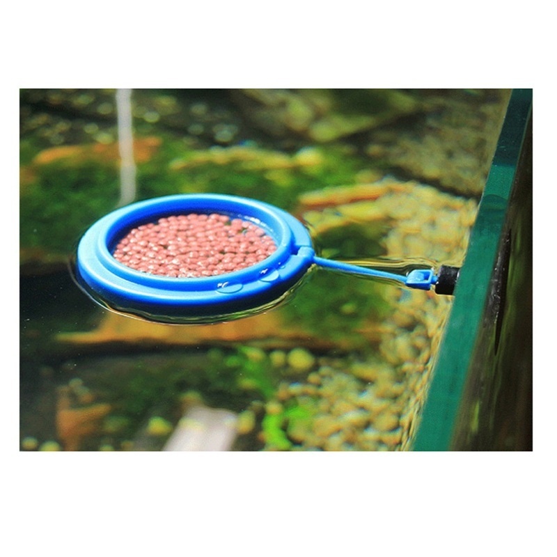 Fish Feeding Ring Feeder Fishi - Tetra Fish In Aquarium 评论和价格