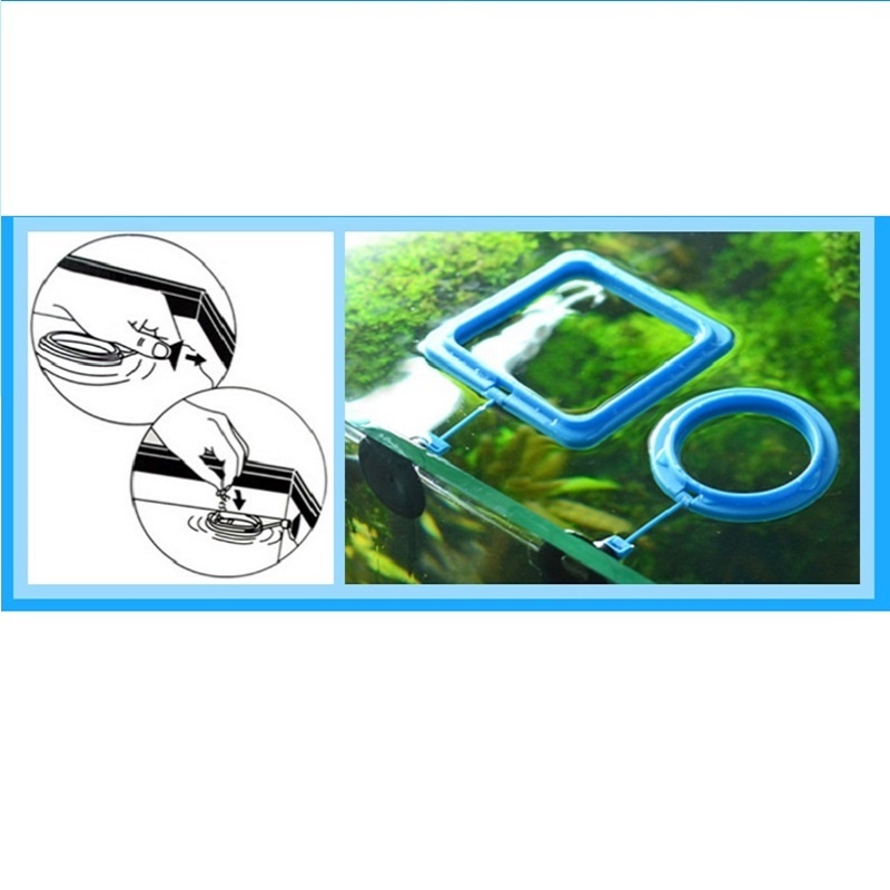 Fish Feeding Ring Feeder Fishi - Tetra Fish In Aquarium 评论和价格