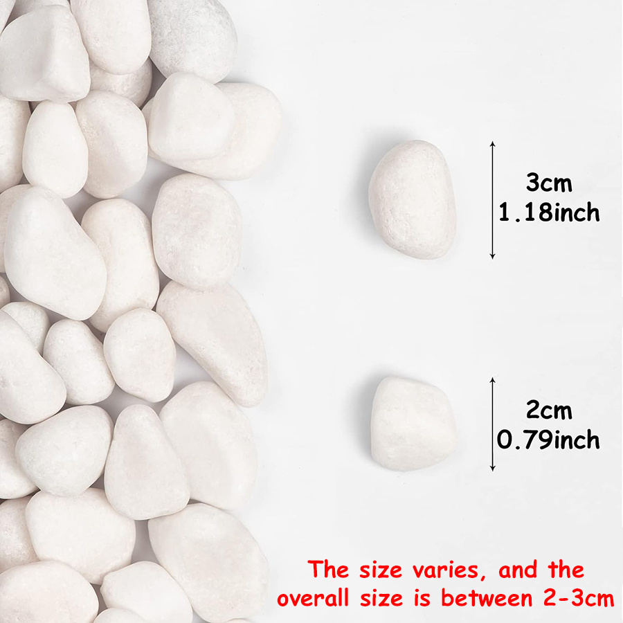 200/400g White High Polished N - Aquarium Fish Buy 评论和价格