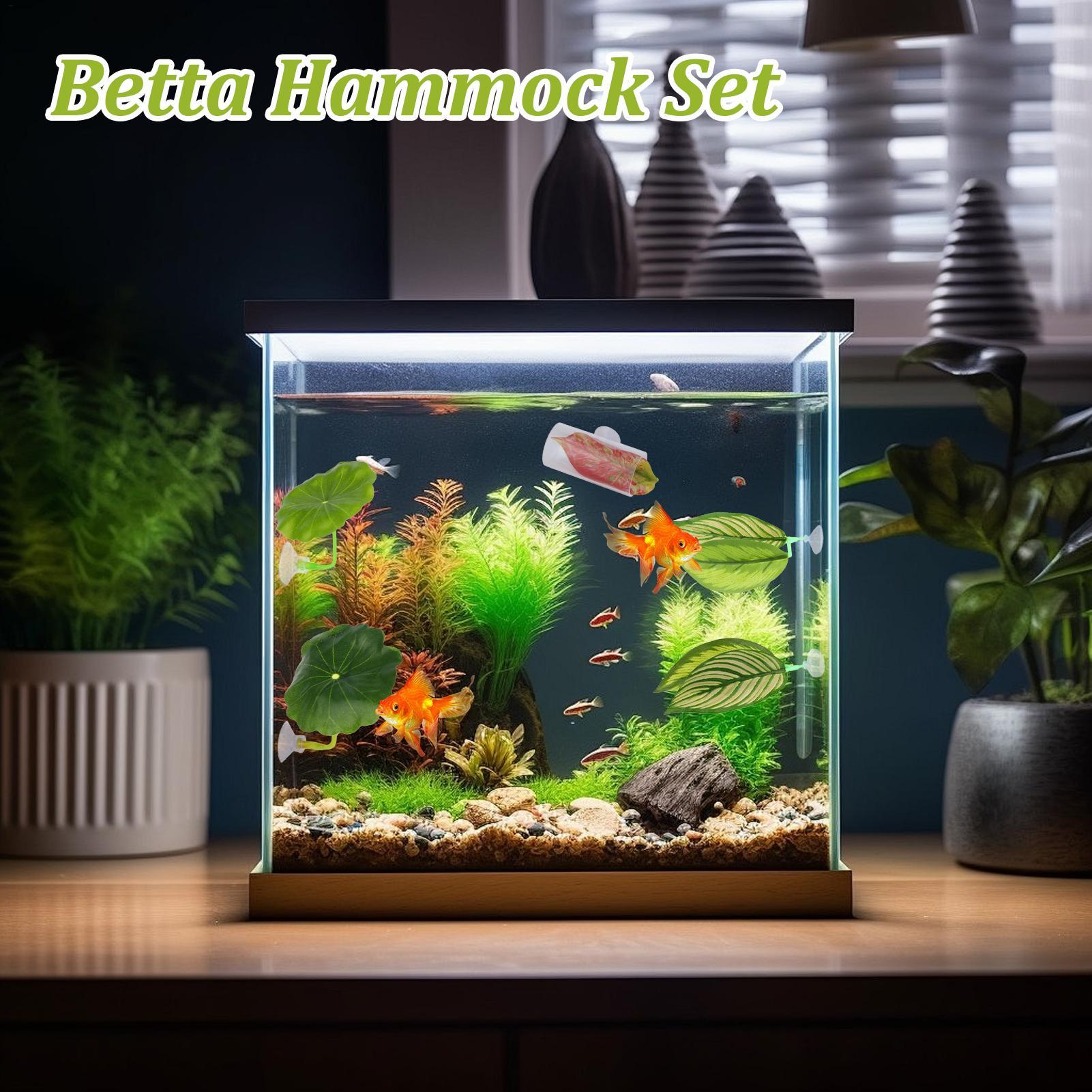 Betta Fish Hammock 5 Pieces Ad - Fish Toys For Aquarium 评论和价格