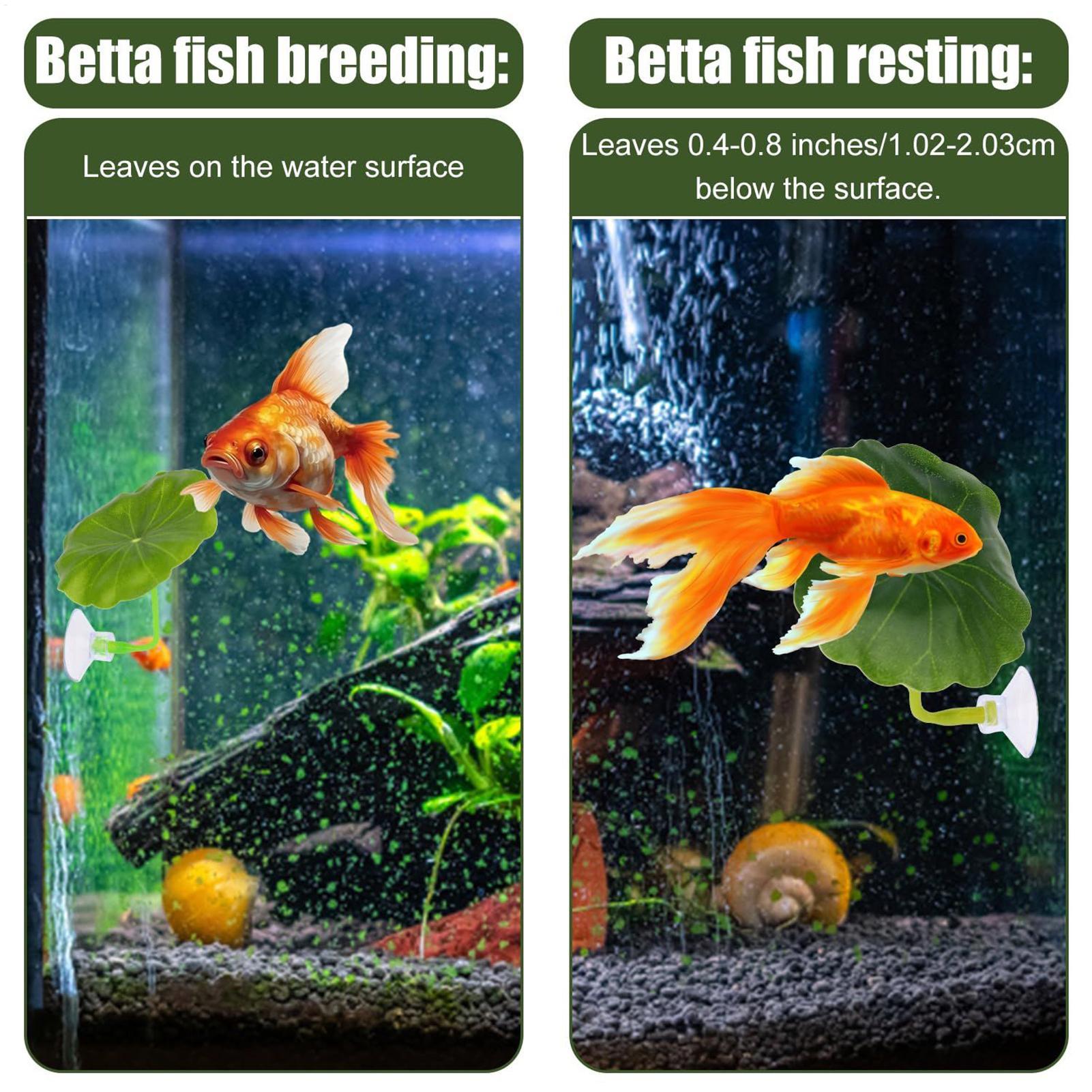 Betta Fish Hammock 5 Pieces Ad - Fish Toys For Aquarium 评论和价格