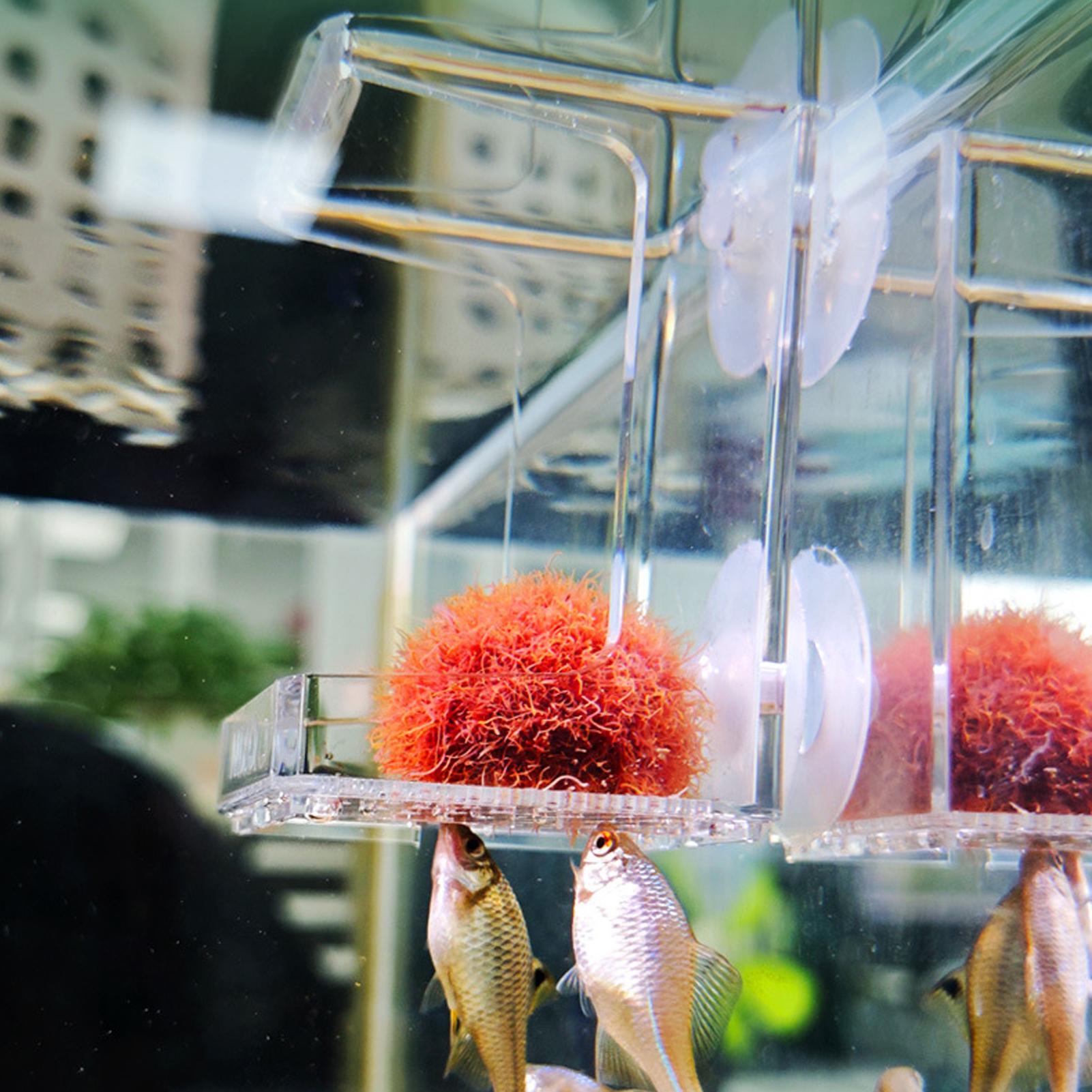 Aquarium Feeder Suction Cup Aq - Tetra Fish In Aquarium 评论和价格