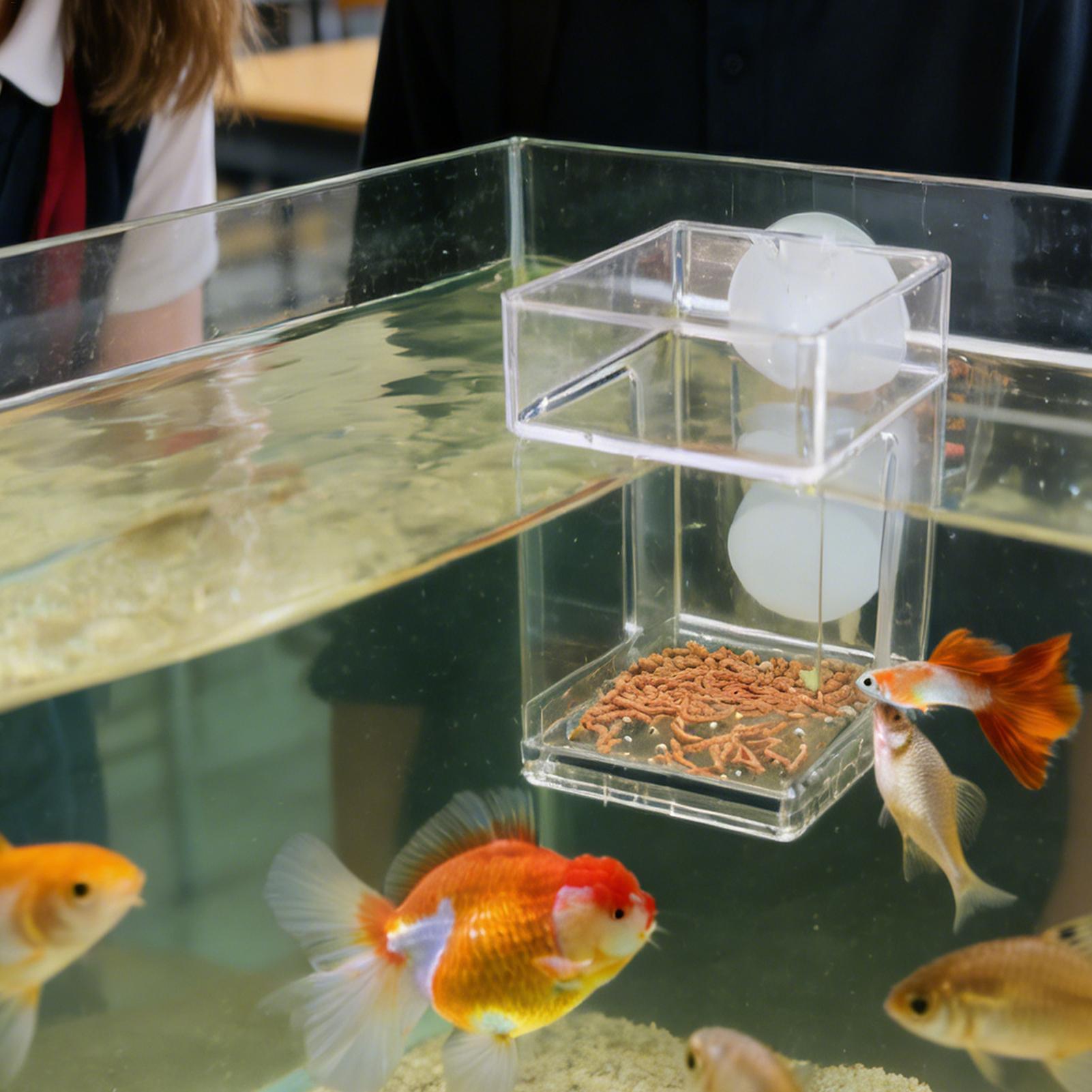 Aquarium Feeder Suction Cup Aq - Tetra Fish In Aquarium 评论和价格