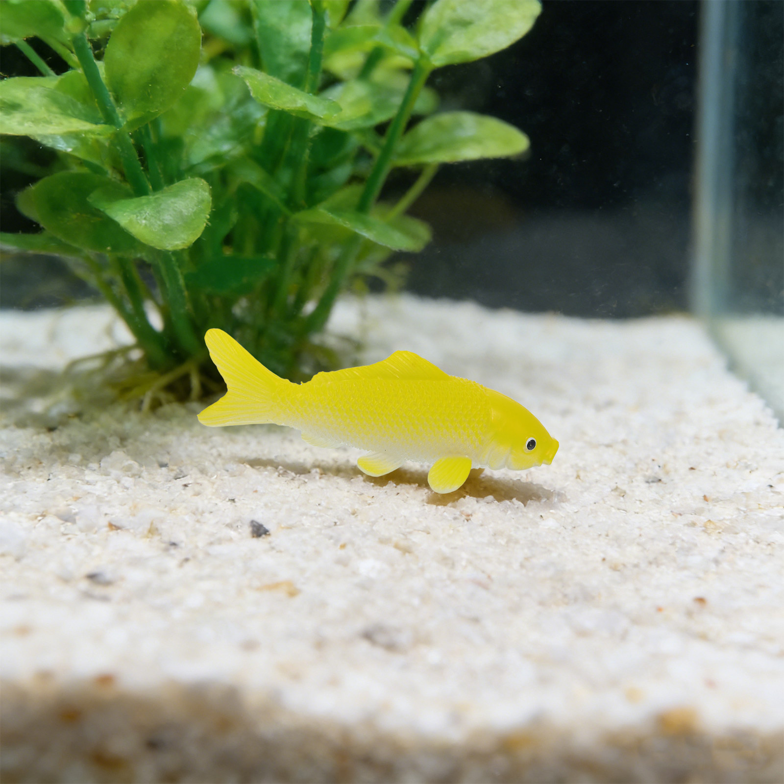 3pcs Fish Crafts Toys Realisti - Aquarium Fish Artificial 评论和价格