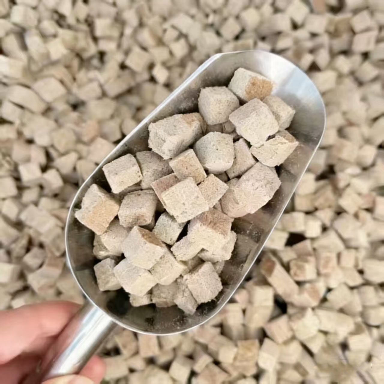 Freeze Dried Blood Worm Cubes  - Tetra Fish In Aquarium 评论和价格