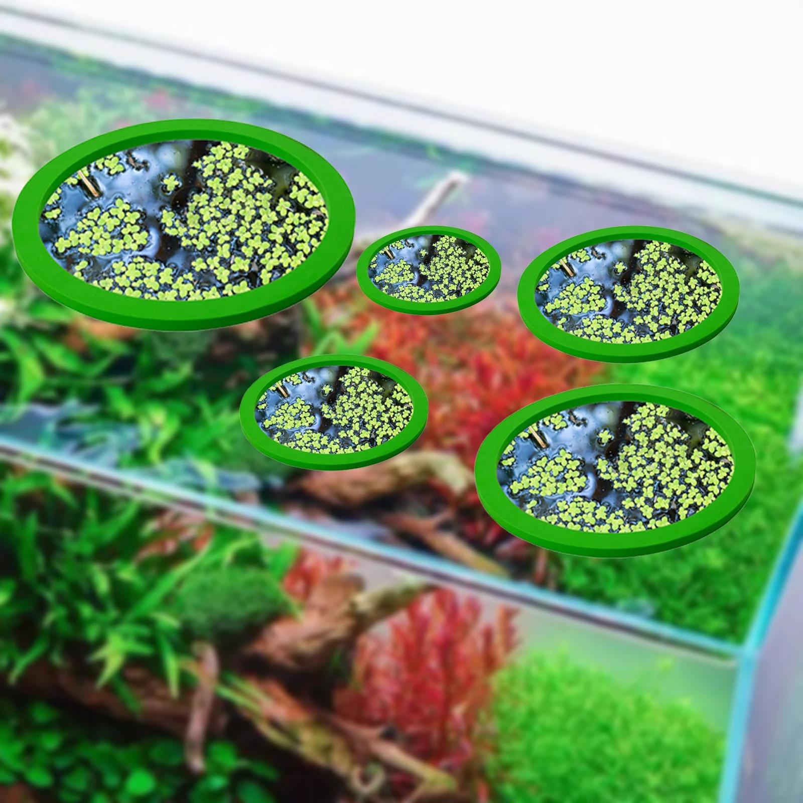 5Pcs EVA Fish Feeding Ring Aqu - Aquarium Fish Types 评论和价格