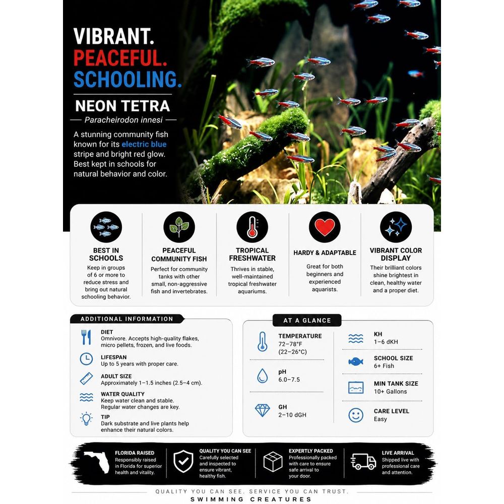 Freshwater Neon Tetra Fish (Si - Tetra Fish In Aquarium 评论和价格