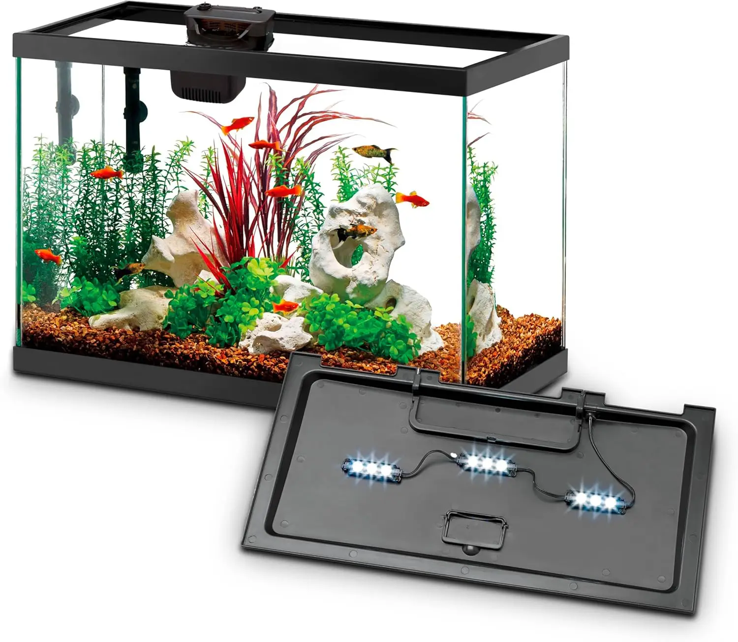 Aquarium Starter Kit with Smar - Tetra Fish In Aquarium 评论和价格