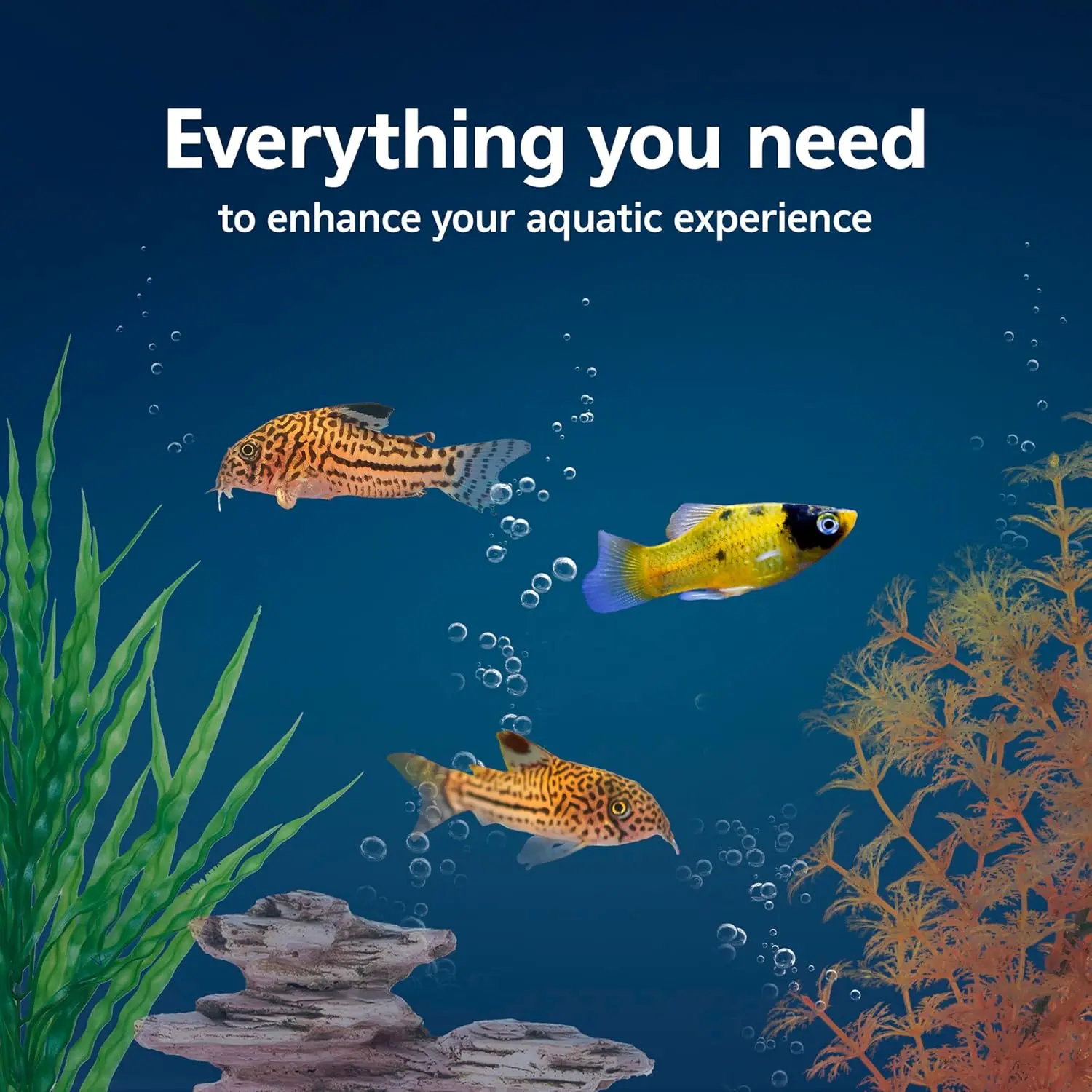 Aquarium Starter Kit with Smar - Tetra Fish In Aquarium 评论和价格