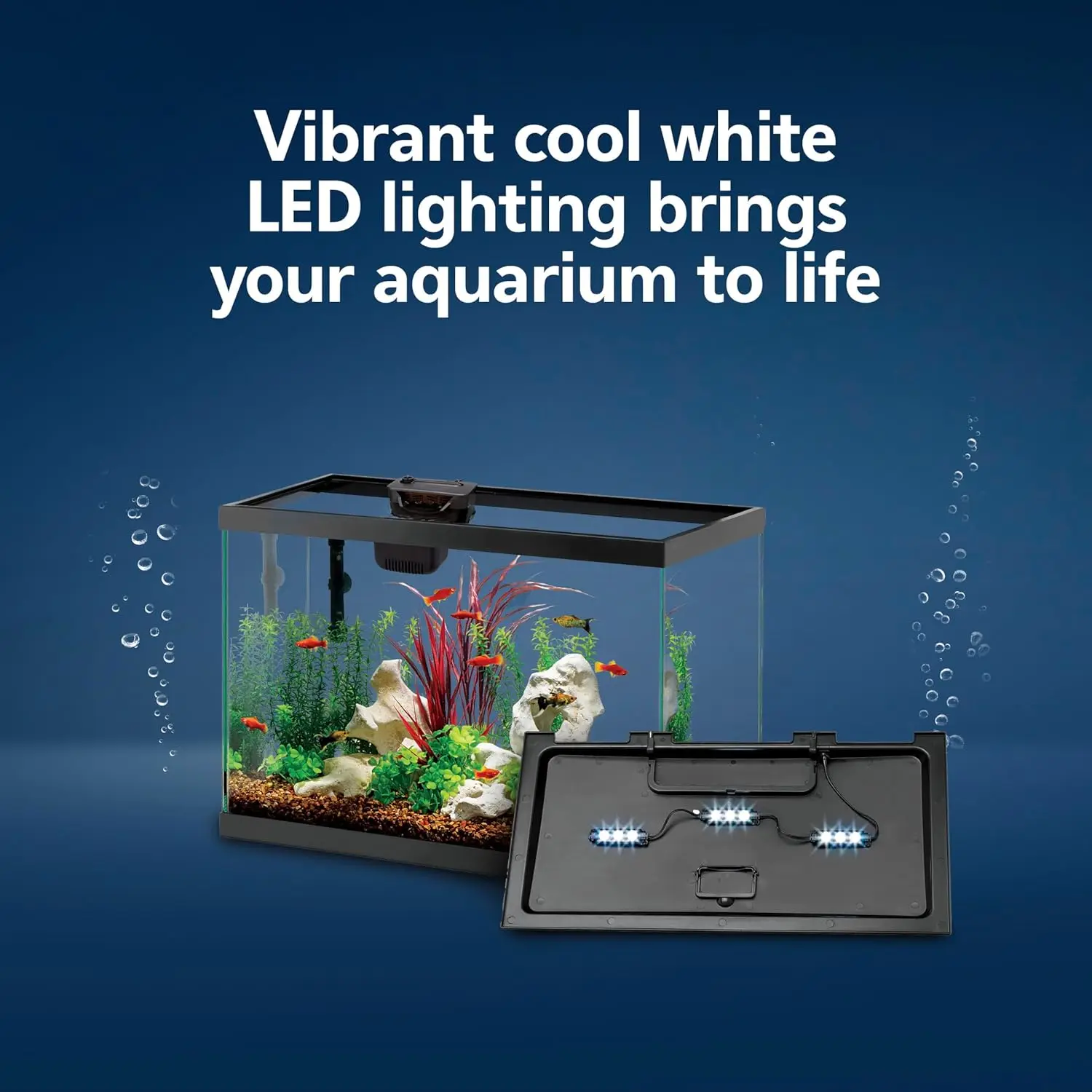 Aquarium Starter Kit with Smar - Tetra Fish In Aquarium 评论和价格