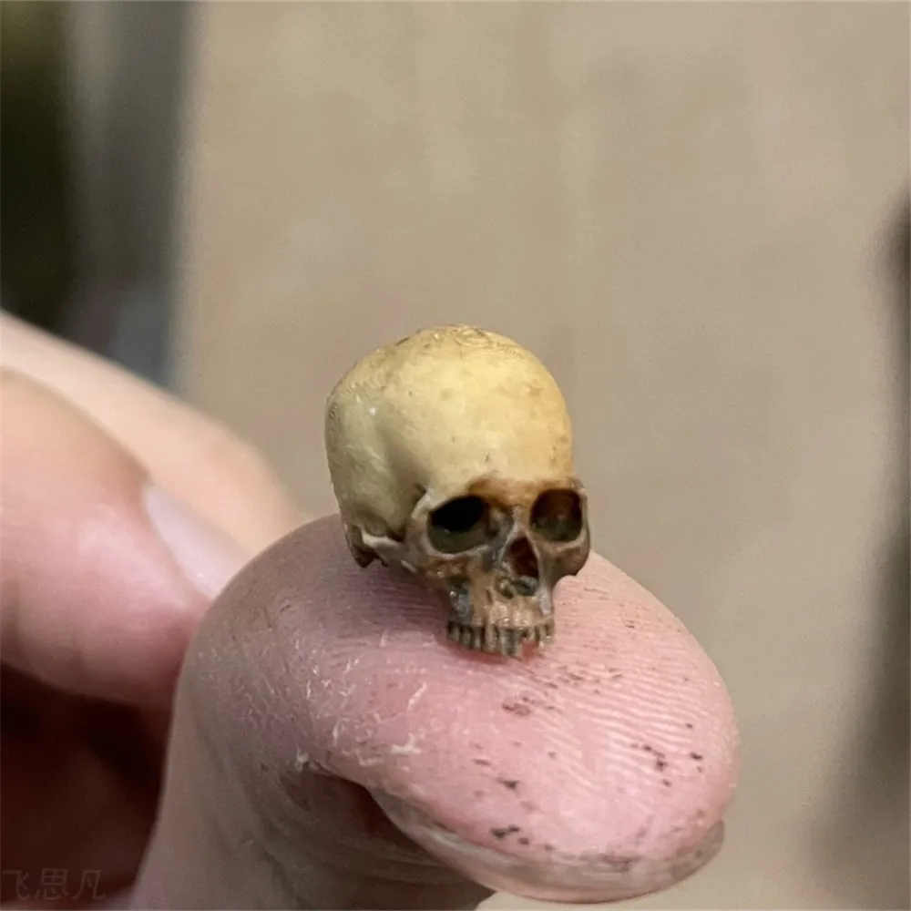 Mini Skull High Quality Miniat - Aquarium Fish Buy 评论和价格