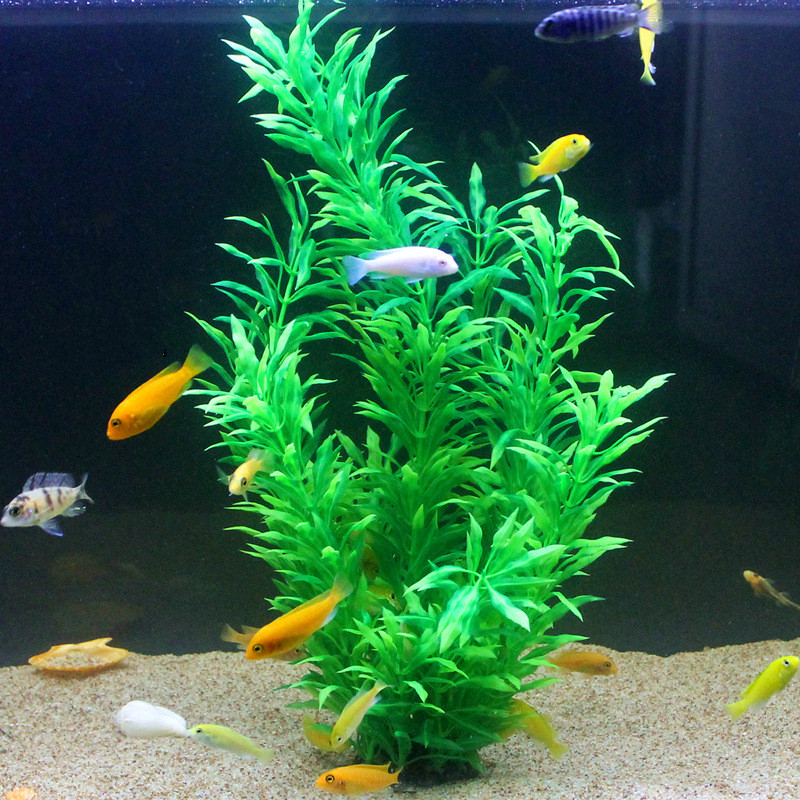 50CM Artificial Fish Tank Rare - Aquarium Fish Artificial 评论和价格